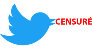 Twitter censuré pays
