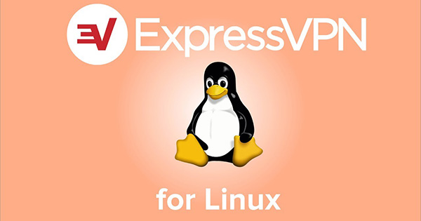 express vpn linux suse
